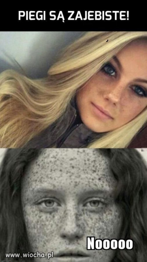 Piegi