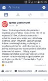 Szukam