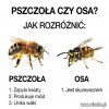 Poradnik młodego wiochowicza   