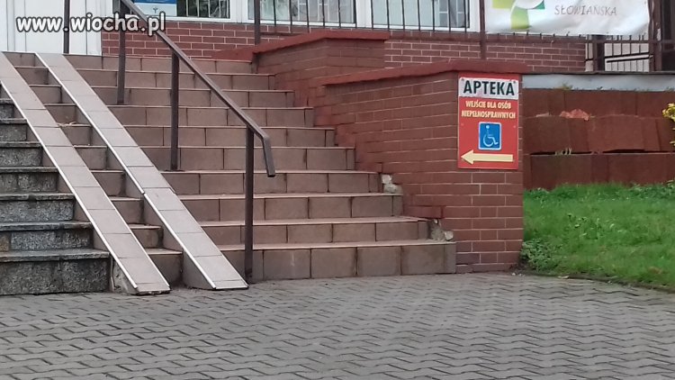 Trzeba byc zdrowym zeby chorowac.