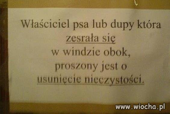 Pilne