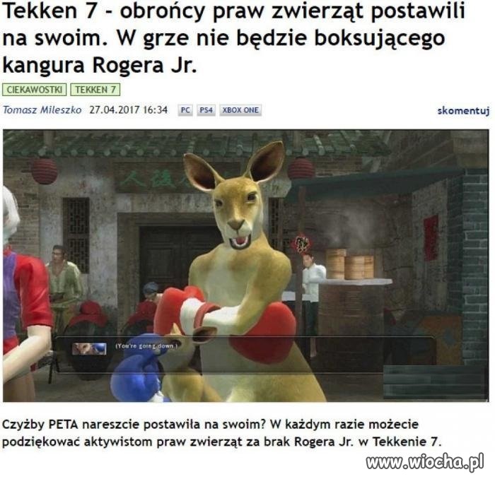 Co oni odwalają?