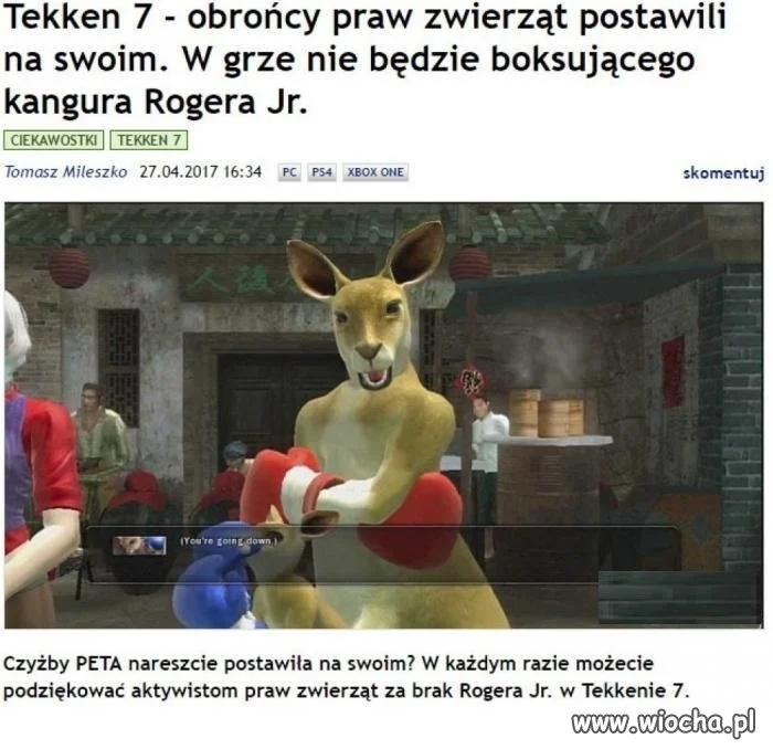 Co oni odwalają?