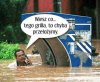 Majówka