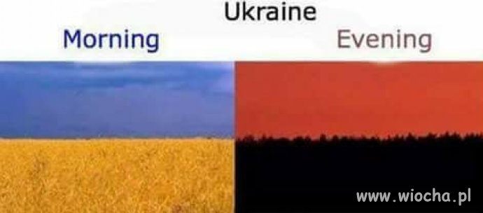 Ukraińcy...