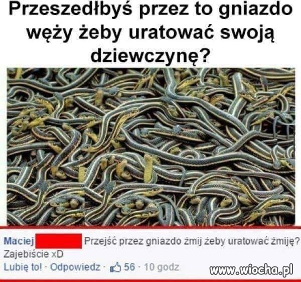 Bez sensu przecież
