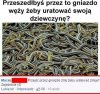 Bez sensu przecież