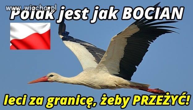 Trochę przykre