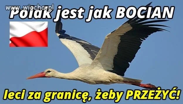 Trochę przykre
