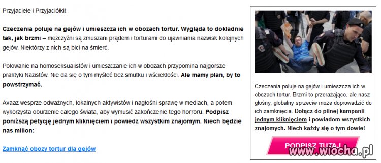 Czeczenia wyłapuje gejów..
