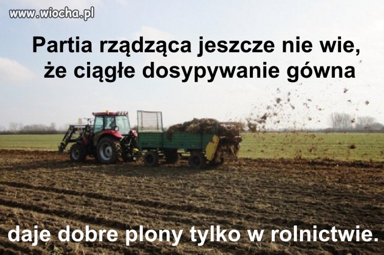 Gówno