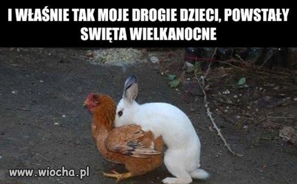 Święta Wielkanocne...?
