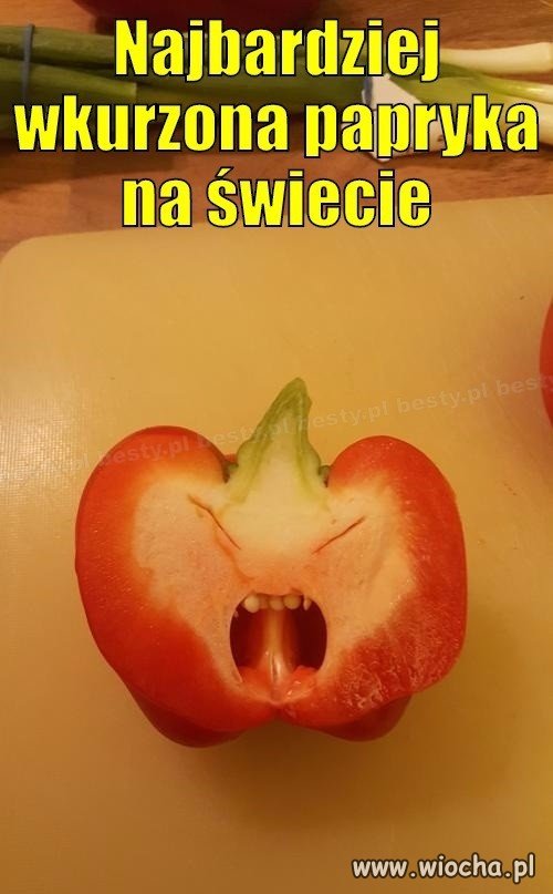 Tego jeszcze nie było...