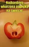 Tego jeszcze nie było...
