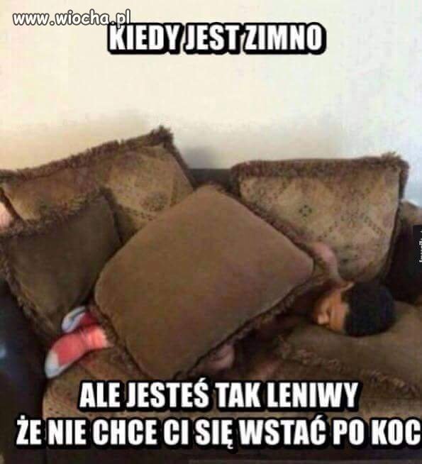 Lenistwo