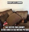 Lenistwo