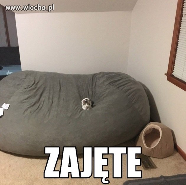 Zajęte