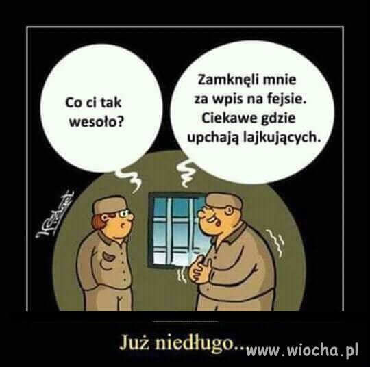 Opis poniżej ...