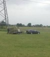 Passat w swoim naturalnym środowisku