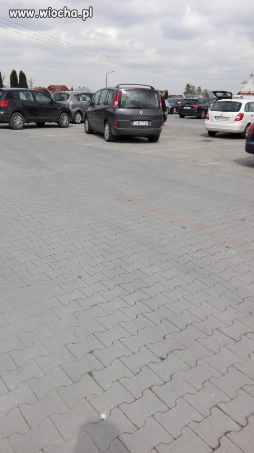 Mistrz parkowania