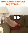 A powiedz tylko