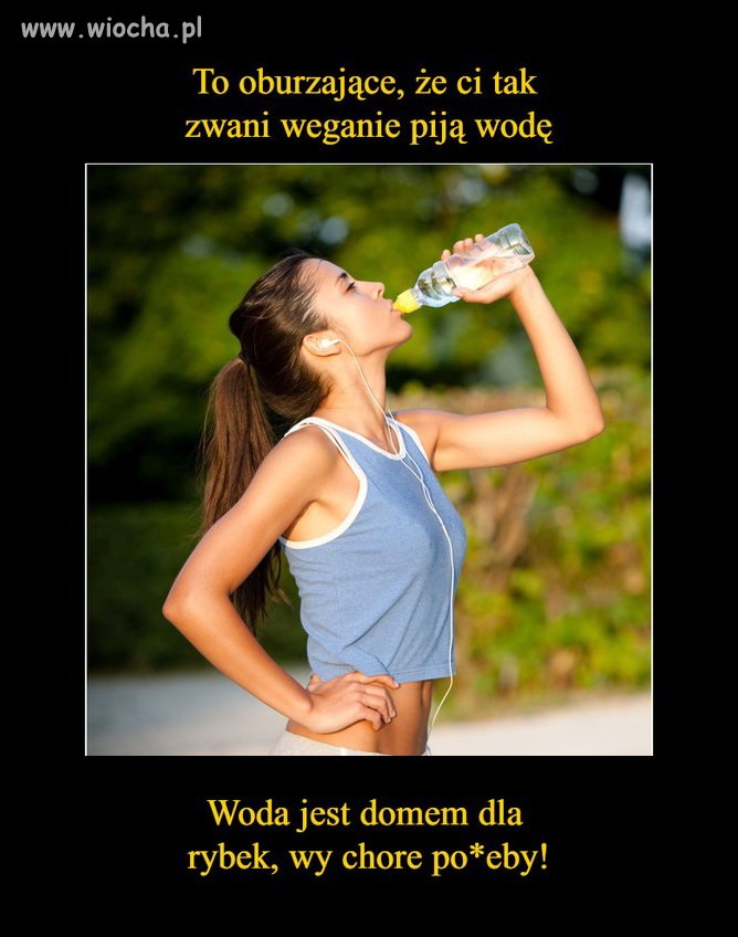 Szach i Mat weganie