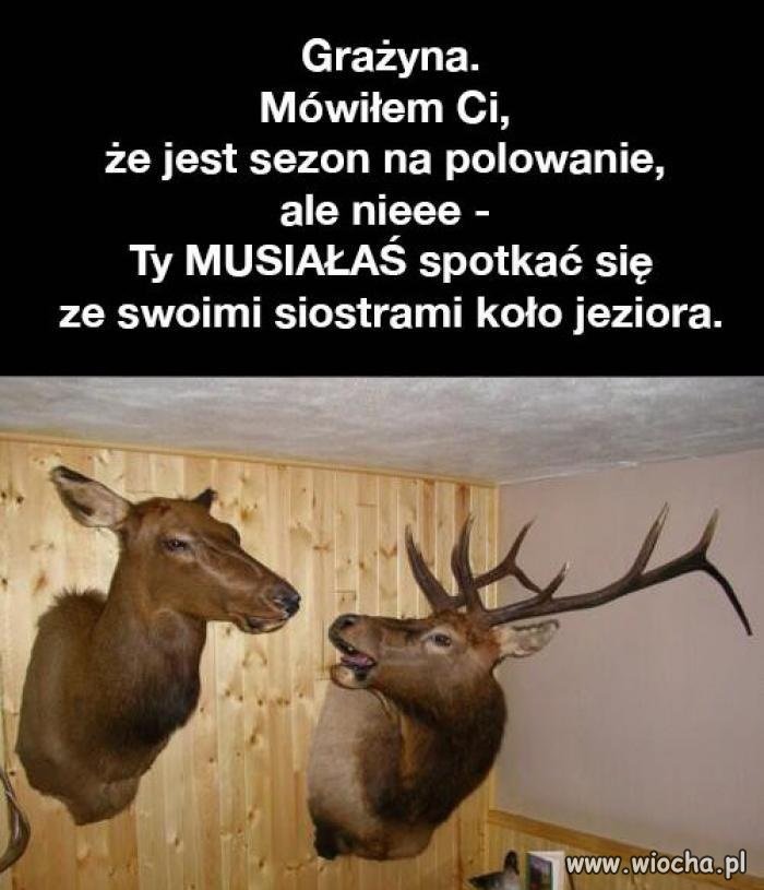 Grażyna