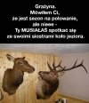 Grażyna