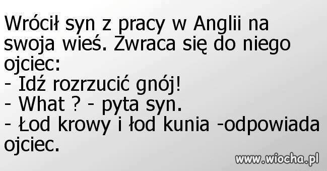Powroty...