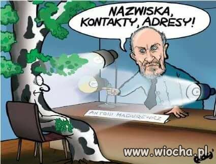 Tę bombę to musiał wnieść ktoś z 96 pasażerów