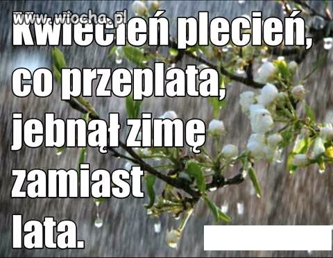 Piękna wiosna