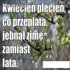 Piękna wiosna