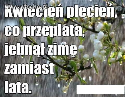 Piękna wiosna