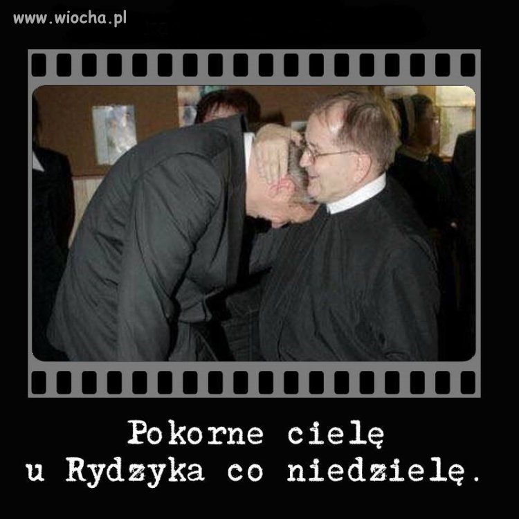 Zgadnij zgadula 
