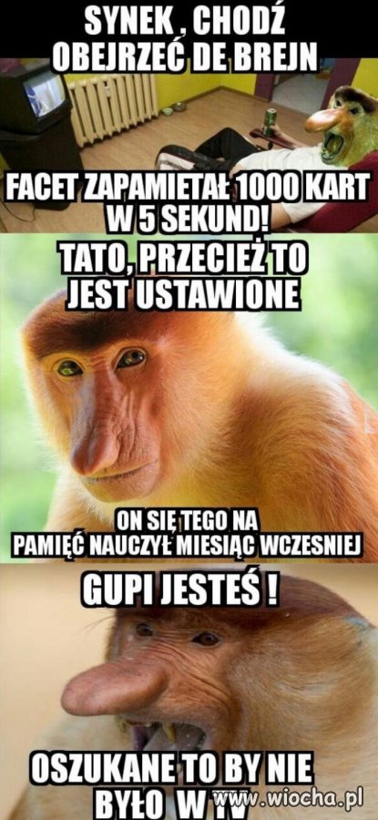W telewizji