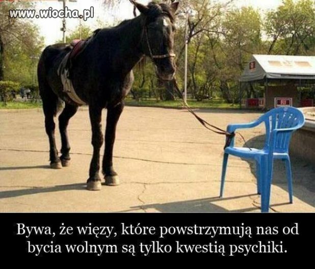 Taka prawda . 