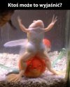Gangam Style