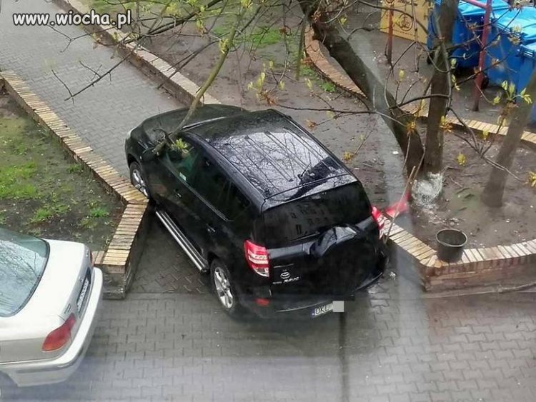 Mistrz Parkowania