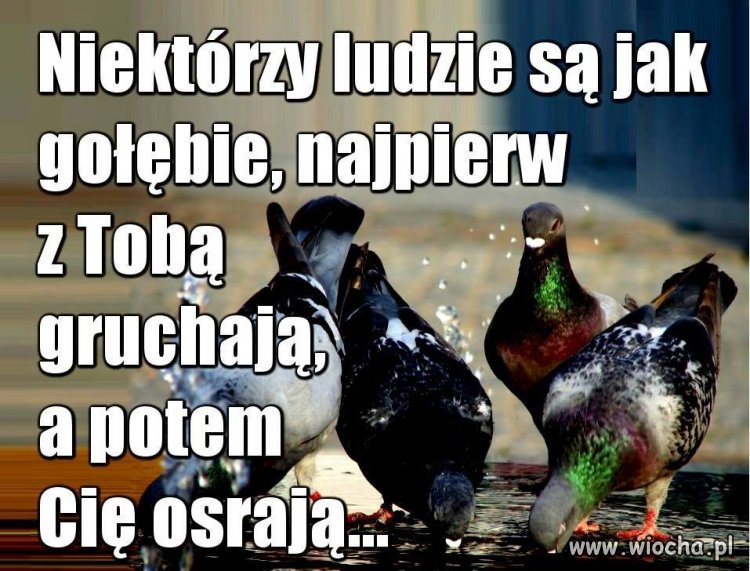 Z życia wzięte