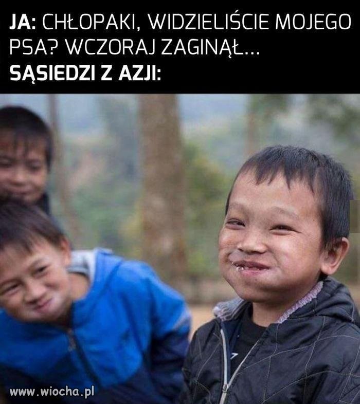 Biedny piesek