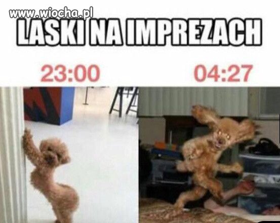Laski