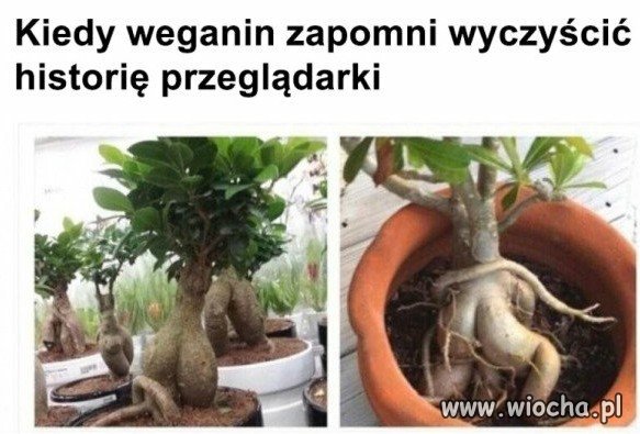 Człowiek to mięsożerca !