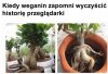 Człowiek to mięsożerca !