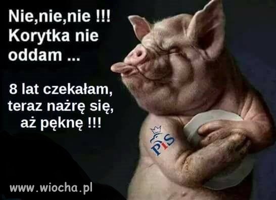 Tak dzisiaj to widzę