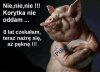 Tak dzisiaj to widzę