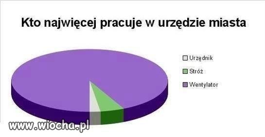 Urząd miasta