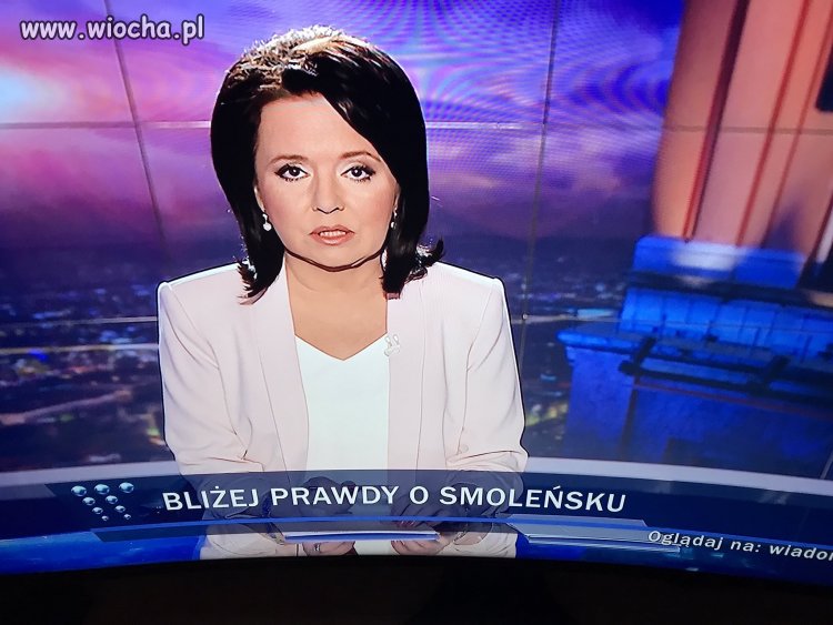 Gonić króliczka odcinek 84