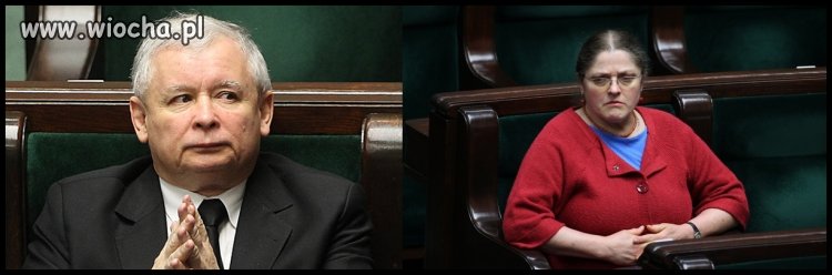 Nowy projekt pisu
