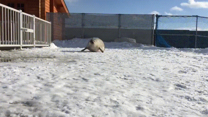 Po niedzielnym obiadku...