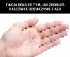 Azja taka jest